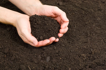 how-important-is-topsoil