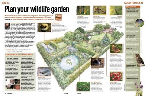 plan-a-wildlife-garden