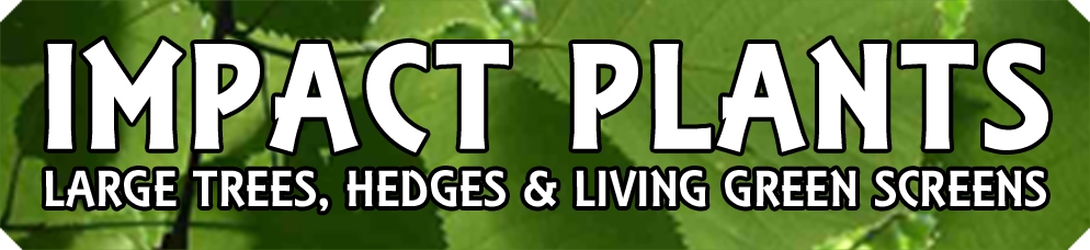 Impact_Plants_Logo