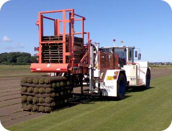 Turf suppliers