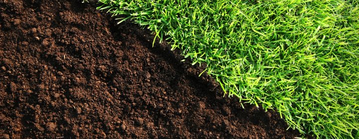 turfing topsoil