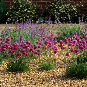 gravel-garden-topsoil