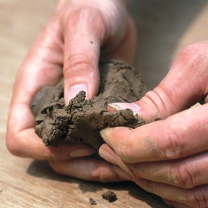 testing-clay-soil