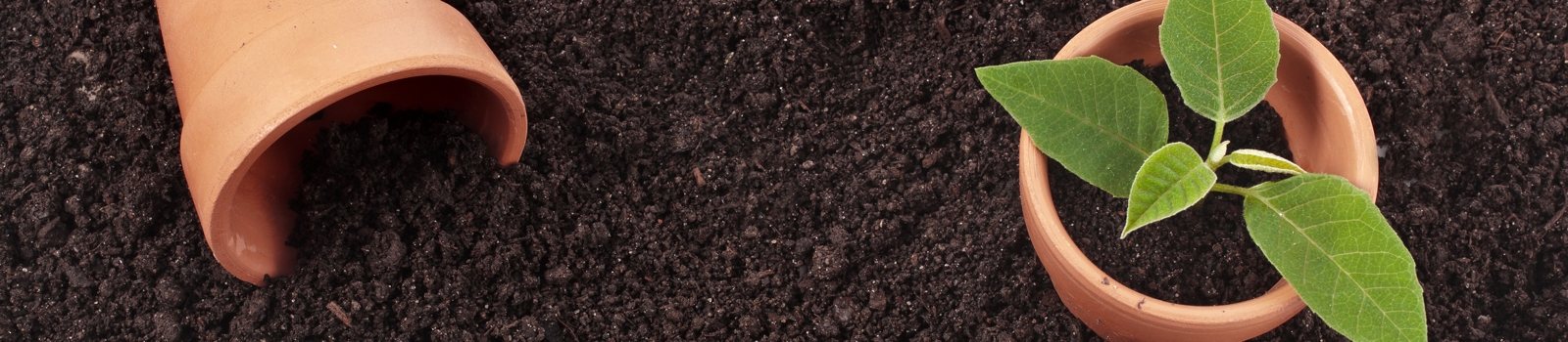 Topsoil calculator work out how much topsoil you need
